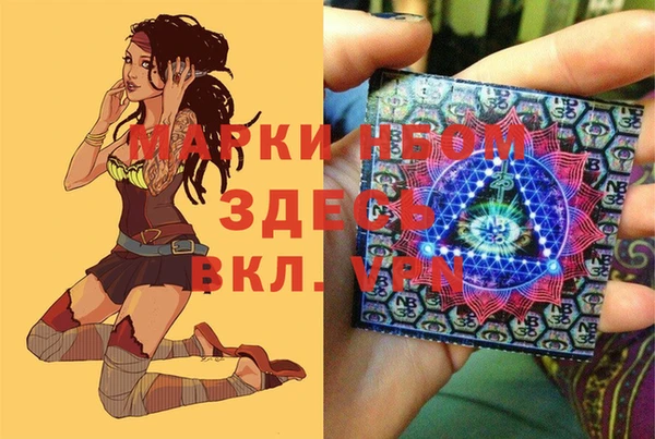 дживик Баксан